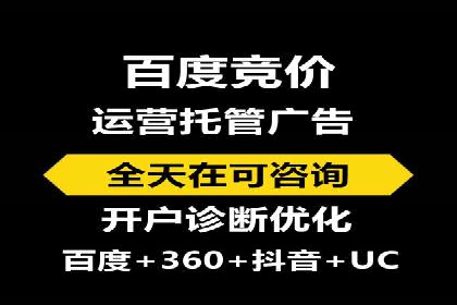 百度SEO推广策略全解析：某企业从零到一的成长历程